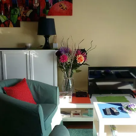 Ferran Paqui Apartment Roses