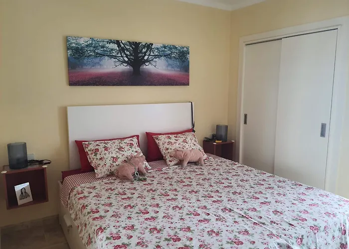 Ferran Paqui روساس